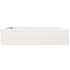 vidaXL Plantenbak 100x100x23 cm massief grenenhout wit