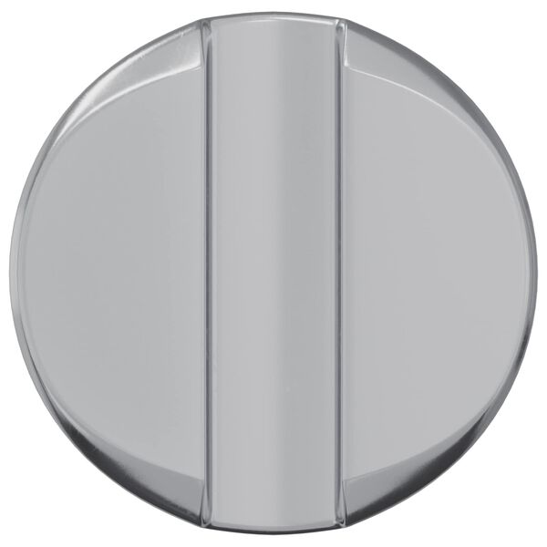 vidaXL Barrelmoeren 2 pcs Zilver M6 x 12 mm Metaal