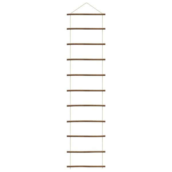 vidaXL Wanddecoratie laddervormig 50x200 cm naturel tak