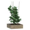 Miniatuurafbeelding van het product 3 van 8