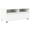 vidaXL TV-kast 100 x 48 x 43 cm Wit Bewerkt hout