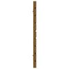 vidaXL Hoofdbord wandmontage 166x3x63 cm grenenhout honingbruin