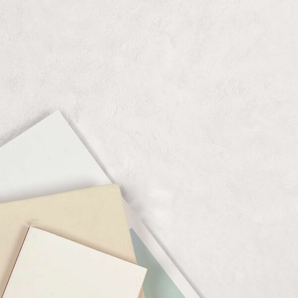 vidaXL Nep Konijnenbont Tapijt Olite Wit 140 x 200 cm Polyester