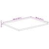 vidaXL Tafelblad met natuurlijke rand 100x80x2,5 cm massief mangohout