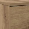 vidaXL Schoenenkast Artisan Eiken 100,5 x 28 x 100 cm Bewerkt hout