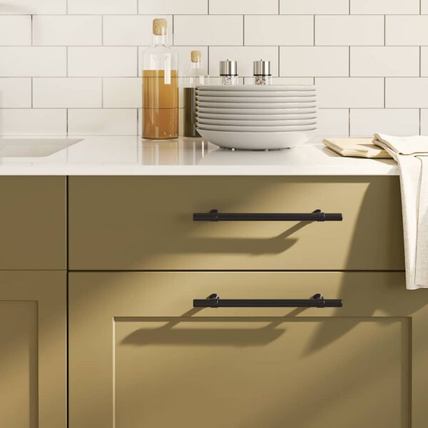 vidaXL Handvatten 10 st 160 mm roestvrij staal zwart