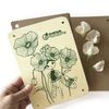 Avenua Mandarine Knutseldoos Flower Press & Herbarium