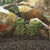 Miniatuurafbeelding van het product 2 van 5