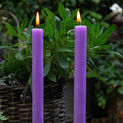 Bolsius Dinerkaarsen Shine 16 st rustiek 27 cm levendig violet