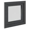vidaXL Kelderraam "RISOR" 50x50 cm draai-kiep DIN rechts antraciet