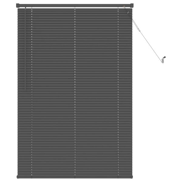 vidaXL Venetiaanse Blind Verstelbaar Zilvergrijs 150 x 70 cm PVC