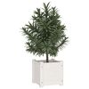 Miniatuurafbeelding van het product 3 van 8