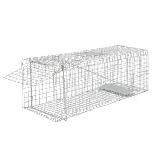 vidaXL Levendeval gegalvaniseerd 80 cm