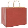 vidaXL Papieren zakken 50 st met hengsels 32x22x24 cm rood