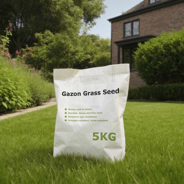 vidaXL Graszaad 5 kg