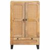 vidaXL Hoge kast met lade Bruin 40 x 33 x 110 cm Massief Mango Hout