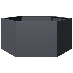 vidaXL Plantenbak zeshoek 104x90x45 cm staal antracietkleurig