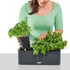 Miniatuurafbeelding van het product 7 van 10