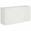 vidaXL Plantenbak Wit 100 x 30 x 50 cm Koudgewalst staal