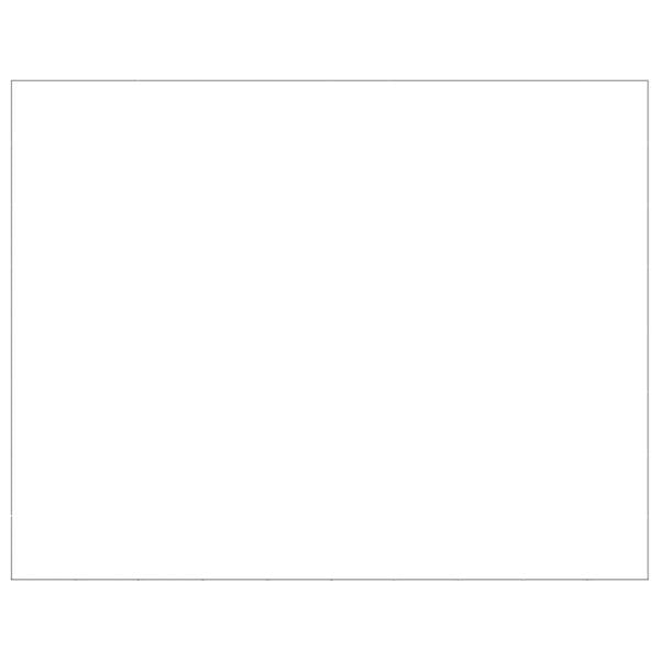 vidaXL Hondenkennel 80 m&sup2; staal zilverkleurig