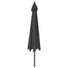 vidaXL Parasol met houten paal 400x273 cm antracietkleurig