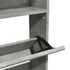 vidaXL Schoenenkast met spiegel 4-laags 63x17x134 cm betongrijs