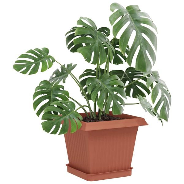 Productafbeelding 3 van 10