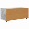 vidaXL TV-kast met lade Beton Grijs 100 x 48 x 43 cm Bewerkt hout