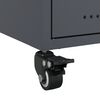 Miniatuurafbeelding van het product 10 van 13