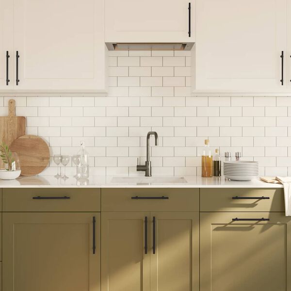 vidaXL Handvatten 10 st 160 mm roestvrij staal zwart