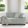 vidaXL Loveseat bank 120 cm fluweel lichtgrijs