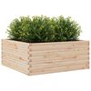 vidaXL Plantenbak 110x110x46 cm massief grenenhout