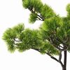 Miniatuurafbeelding van het product 4 van 7