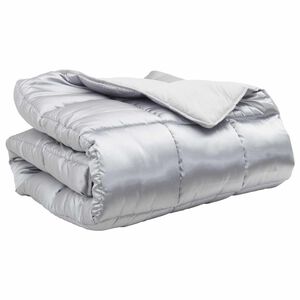 vidaXL Winter Dekbed Zilver 200 x 155 cm Satijn en Microfiber