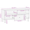 vidaXL Tv-meubel 100x33x46 cm massief mangohout zwart
