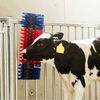 Miniatuurafbeelding van het product 5 van 8
