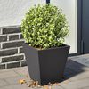 vidaXL Plantenbakken 2 st 30x30x30 cm staal zwart