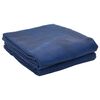 vidaXL Tenttapijt Blauw 250 x 250 cm Polyester