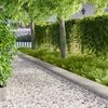 Miniatuurafbeelding van het product 2 van 9