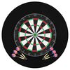 vidaXL Dartbord professioneel met 6 darts en surround sisal
