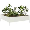 Miniatuurafbeelding van het product 3 van 10