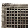 vidaXL Tuinkrukken met kussens 2 st 40x40x43 cm poly rattan grijs