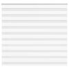 vidaXL Zebra Blind 160x100 cm stofbreedte 155,9 cm polyester wit