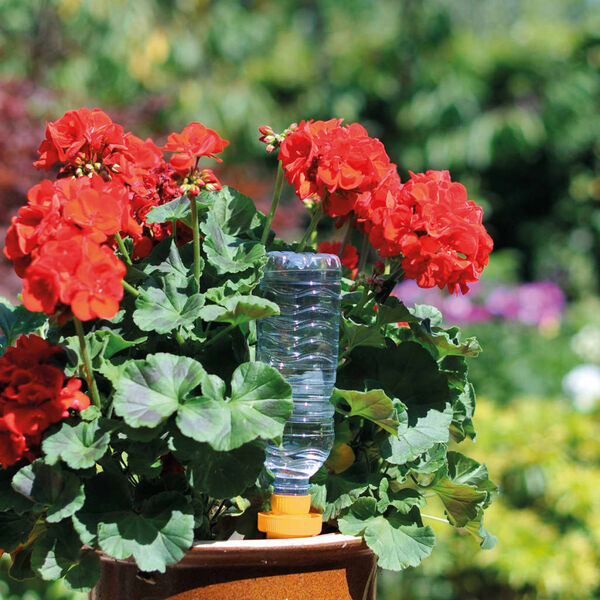 Hozelock 4 st Waterkegels Aquasolo groot