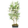 Miniatuurafbeelding van het product 2 van 5