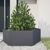 vidaXL Plantenbak zeshoek 138x120x45 cm staal antracietkleurig