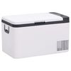 vidaXL Koelbox met handvat 25 L PP & PE zwart en wit