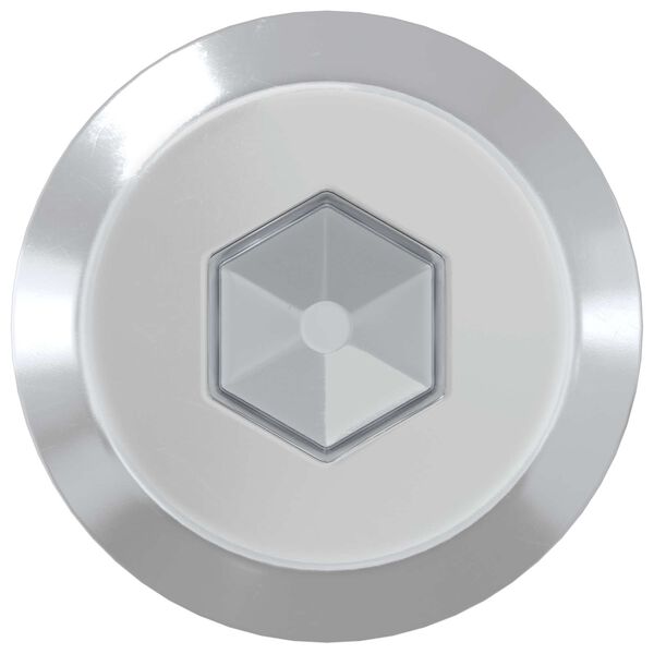 vidaXL Meubelschroeven 2 pcs Zilver M6 x 100 mm Staal