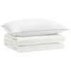 vidaXL 90% ganzen dons dekbedset FULDA 2 pcs 150 x 200 cm Zomer Wit
