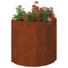 vidaXL Plantenbak Roestig 60 x 30 x 50 cm Cortenstaal